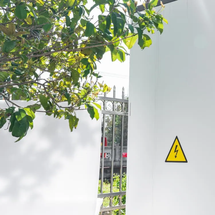 Belize Grid Energy Storage Policy